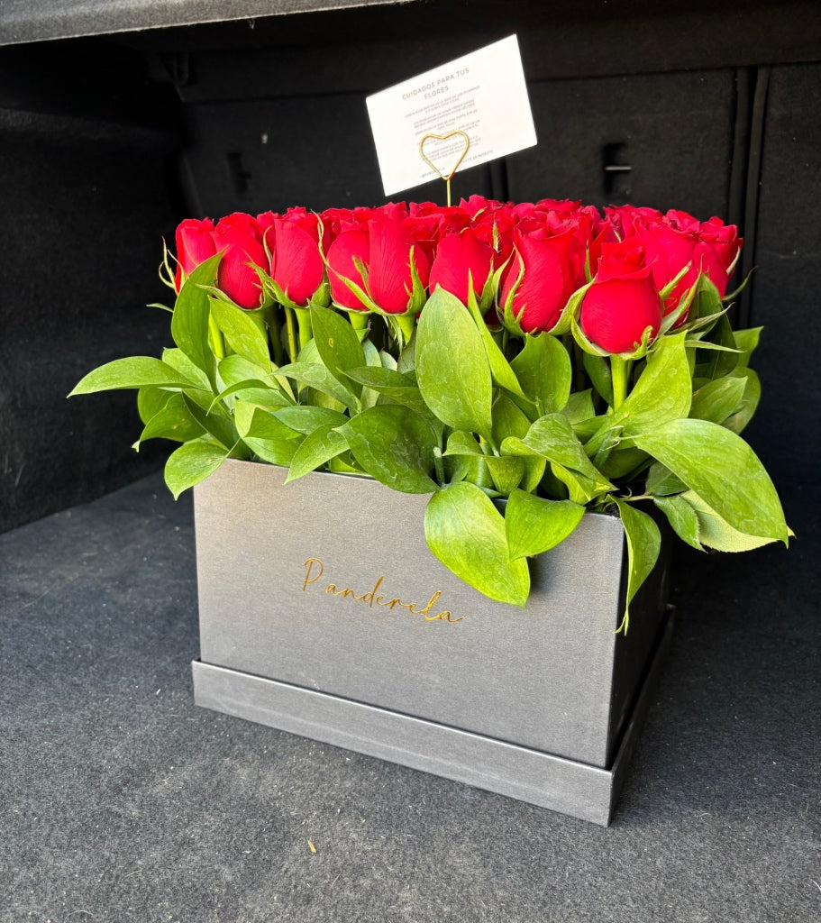 Caja Mediana de Rosas Rojas