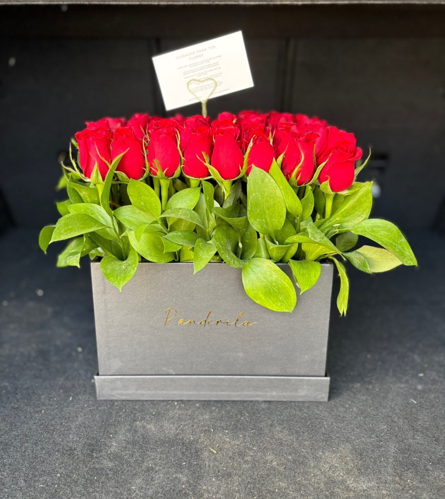 Caja Mediana de Rosas Rojas