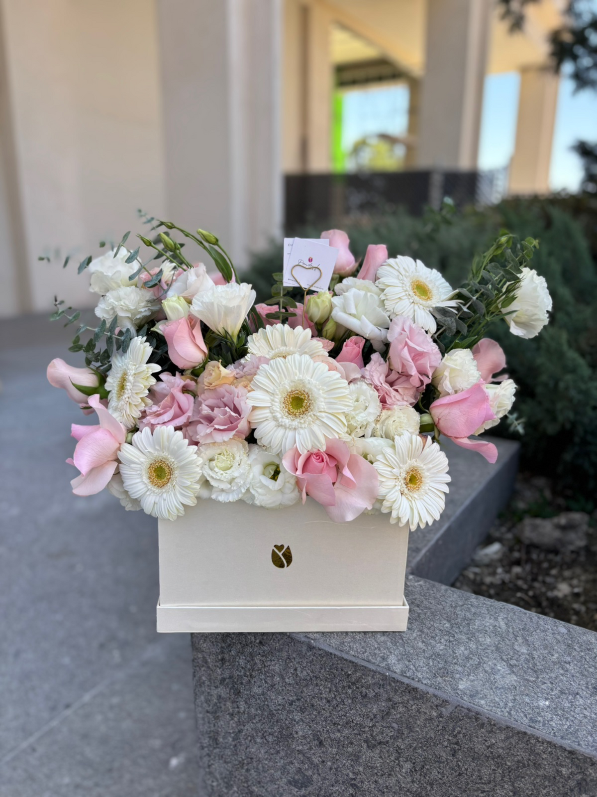 Caja lysianthus Sol