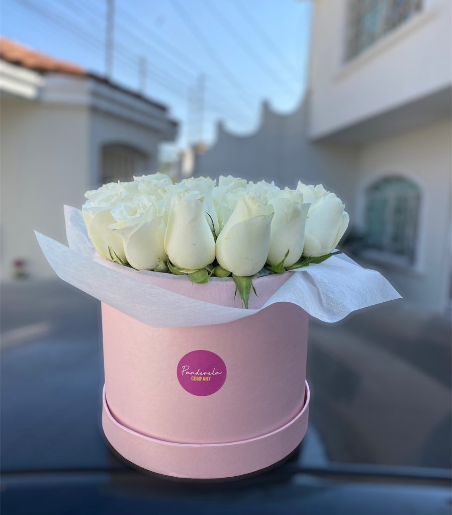 Cilindro 24 Rosas Blancas
