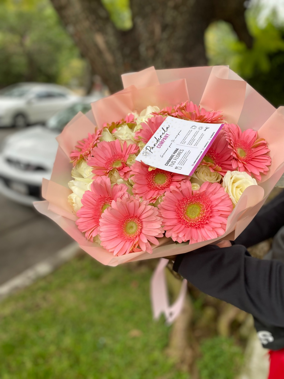 Ramo 50 rosas y gerberas