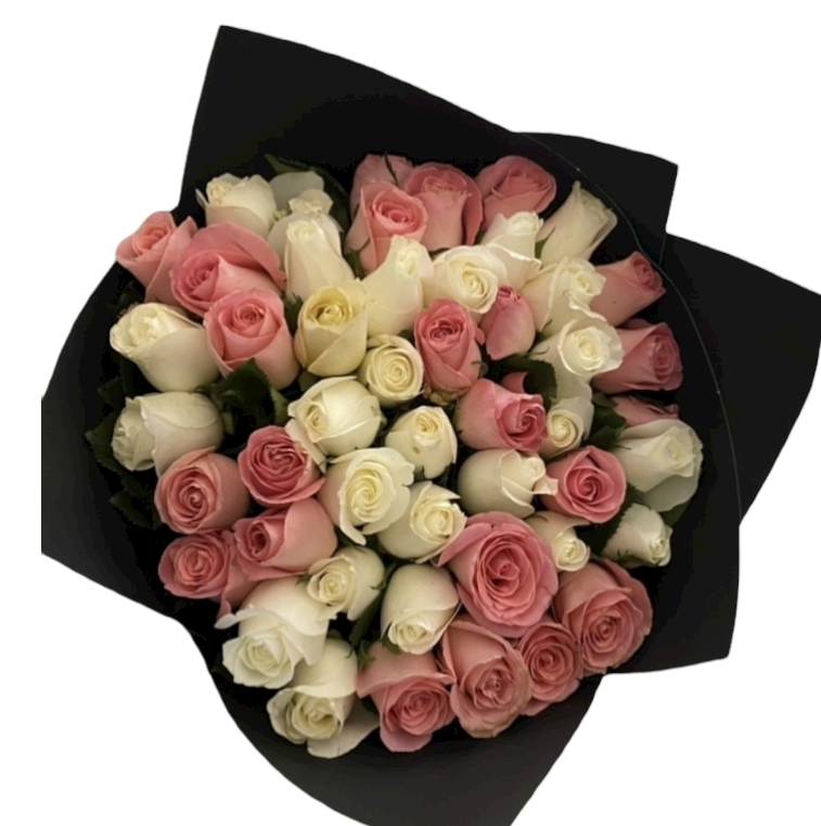 Ramo 50 Rosas Bicolor Hermosa – Panderela