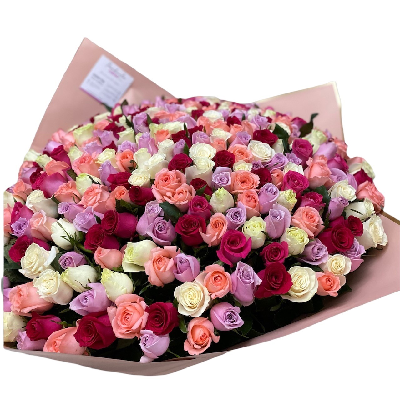 Ramo 300 Rosas Violeta – Panderela